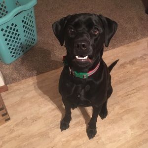 Meet your Posher, Scott